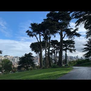 Meet your Posher, Molly